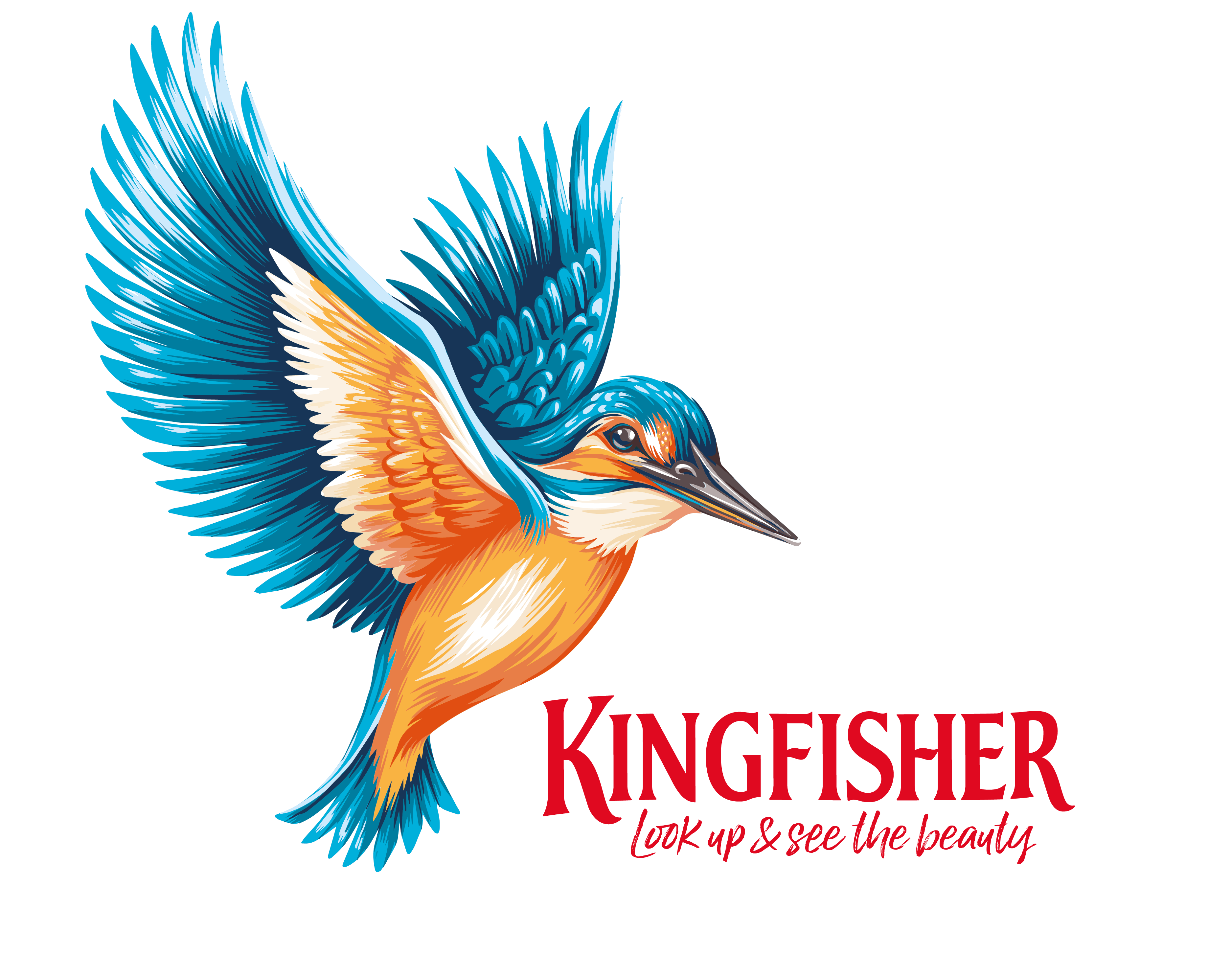 Kingfisher